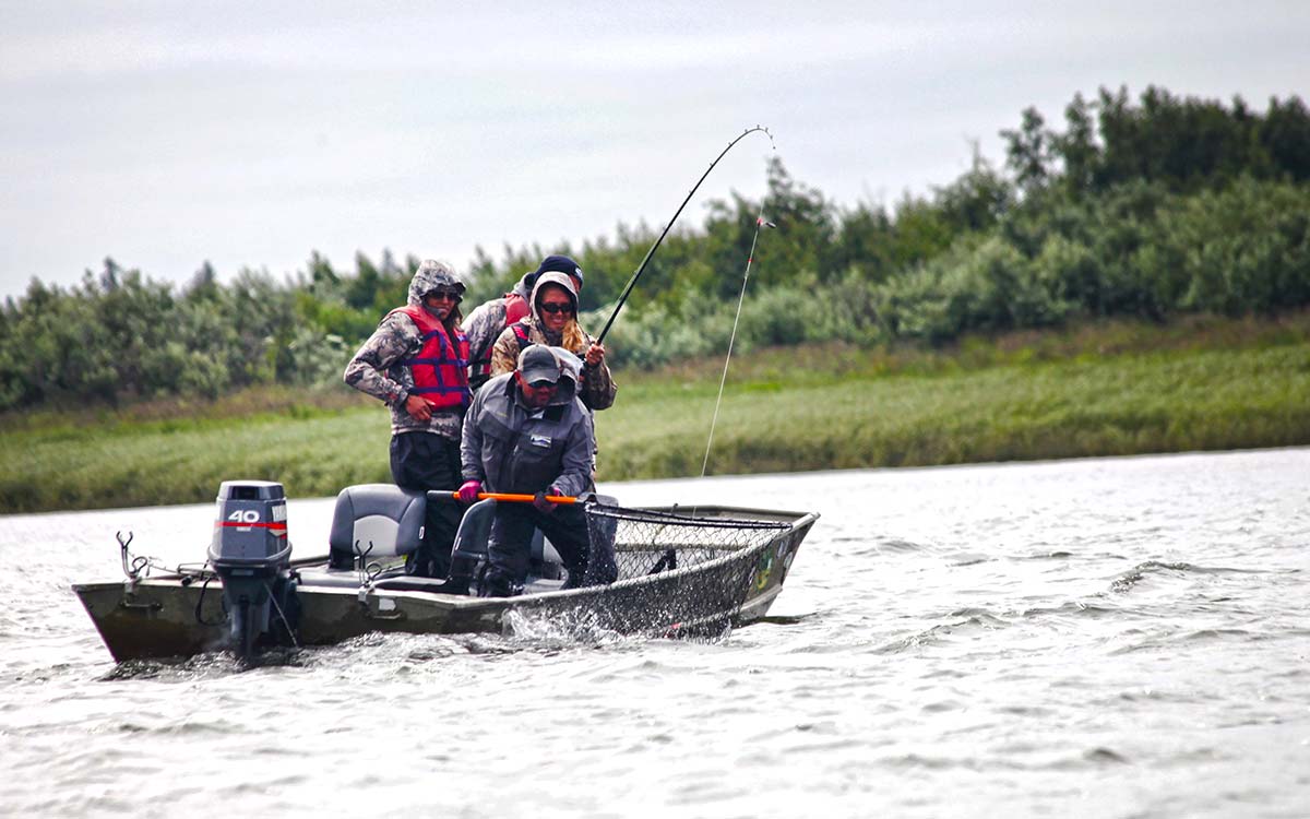 sockeye-king-coho-fishing-ak