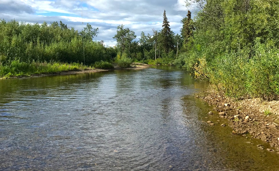upriver_riffle (2)