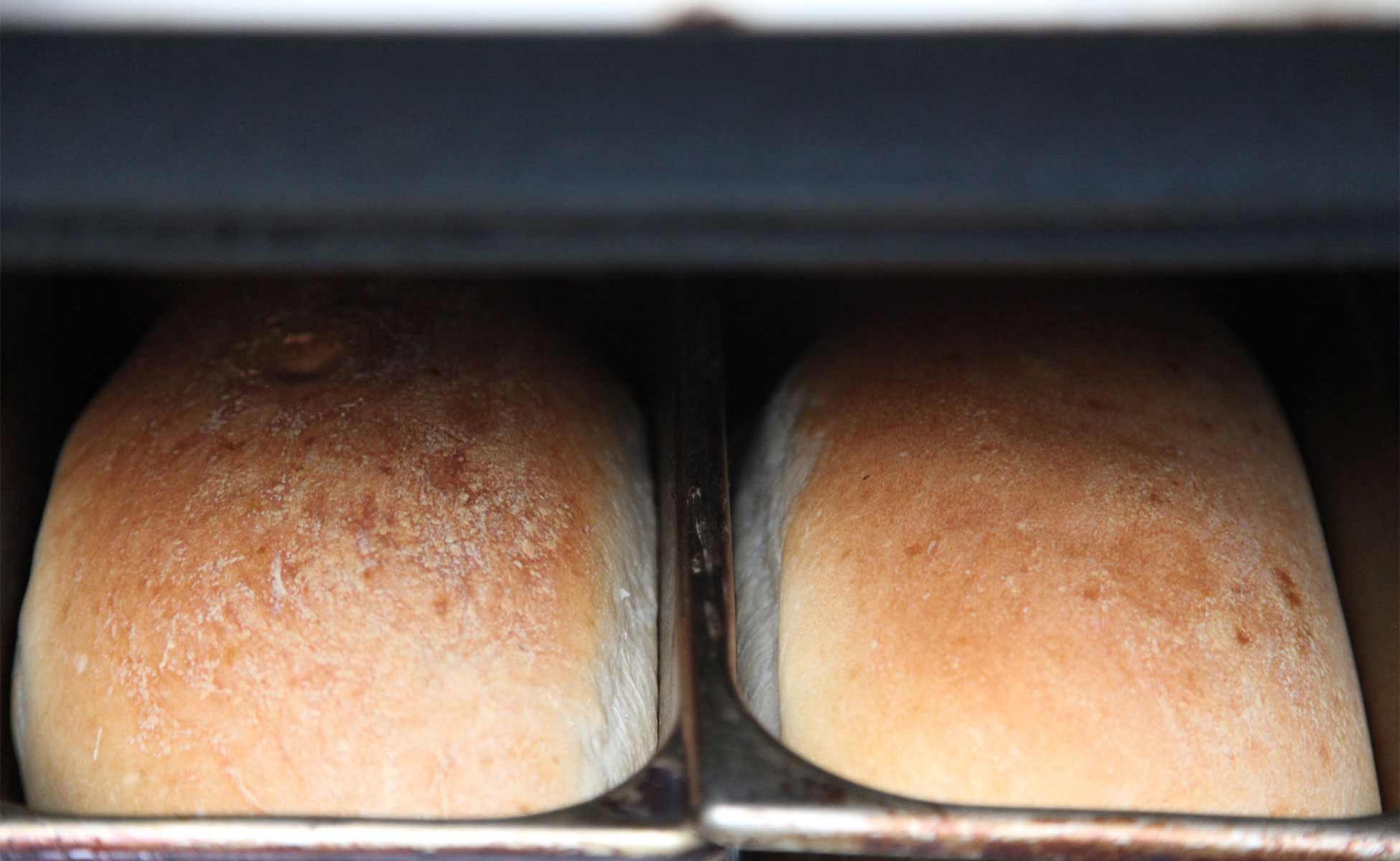 bread